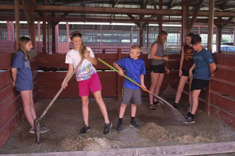 4-H members, families prepare for county fair | News, Sports, Jobs - Vimarsana News